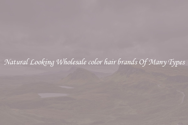 Natural Looking Wholesale color hair brands Of Many Types