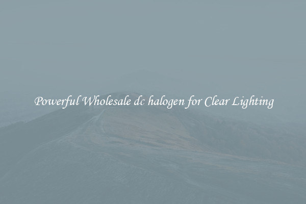 Powerful Wholesale dc halogen for Clear Lighting