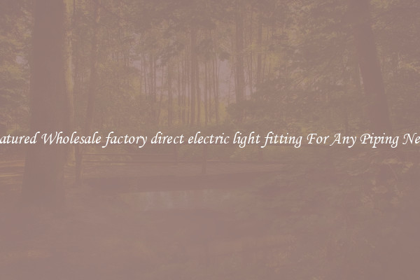 Featured Wholesale factory direct electric light fitting For Any Piping Needs