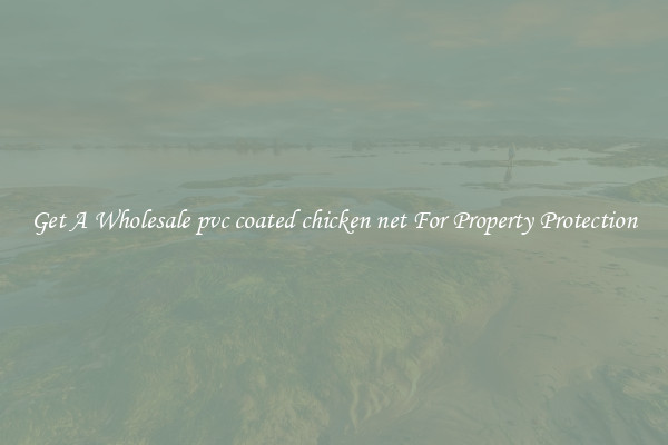 Get A Wholesale pvc coated chicken net For Property Protection