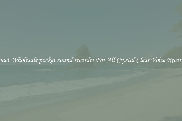 Compact Wholesale pocket sound recorder For All Crystal Clear Voice Recordings