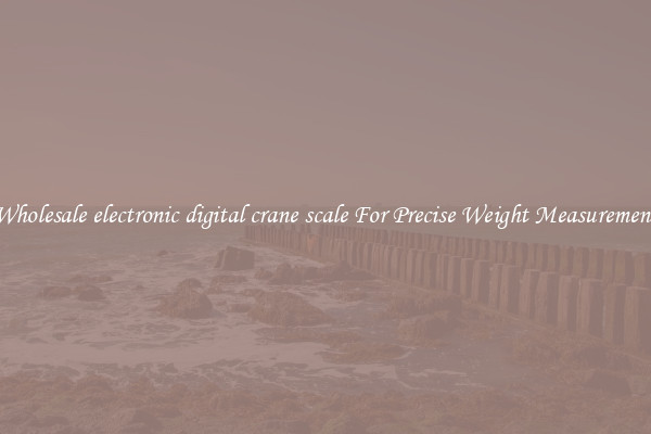 Wholesale electronic digital crane scale For Precise Weight Measurement