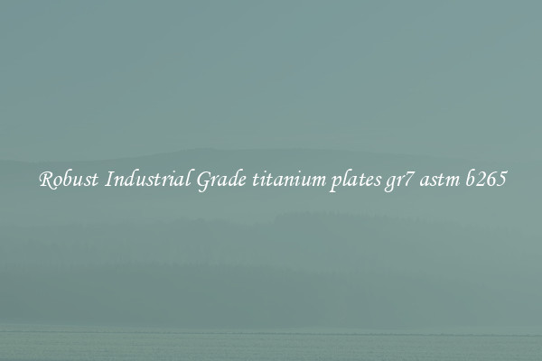 Robust Industrial Grade titanium plates gr7 astm b265