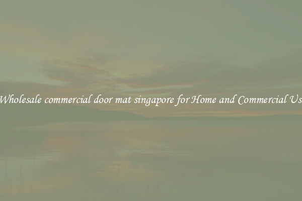 Wholesale commercial door mat singapore for Home and Commercial Use