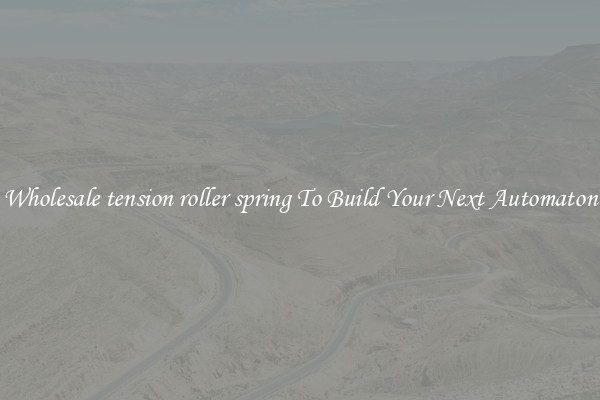 Wholesale tension roller spring To Build Your Next Automaton
