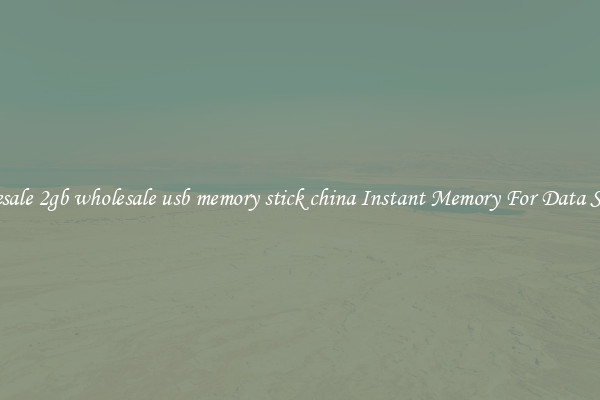Wholesale 2gb wholesale usb memory stick china Instant Memory For Data Storage