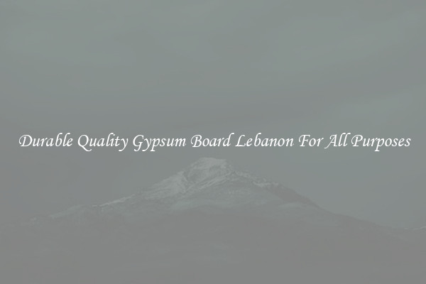 Durable Quality Gypsum Board Lebanon For All Purposes