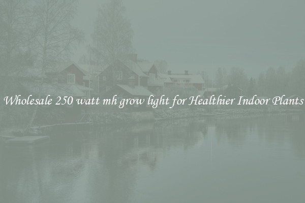 Wholesale 250 watt mh grow light for Healthier Indoor Plants