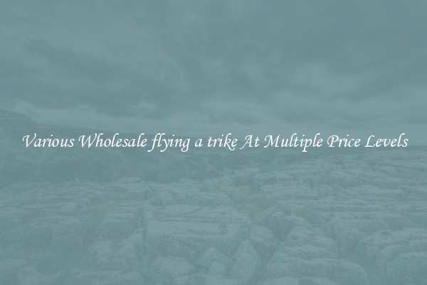 Various Wholesale flying a trike At Multiple Price Levels