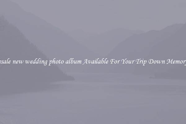 Wholesale new wedding photo album Available For Your Trip Down Memory Lane