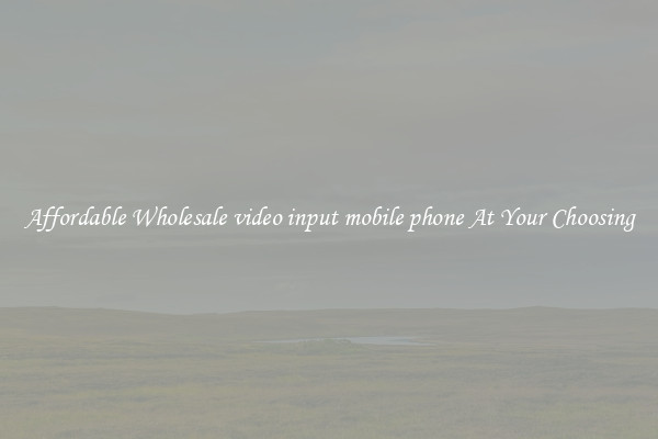 Affordable Wholesale video input mobile phone At Your Choosing