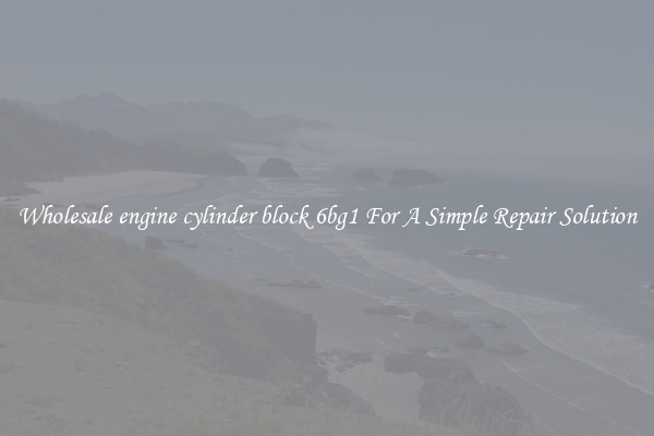 Wholesale engine cylinder block 6bg1 For A Simple Repair Solution