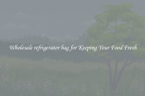 Wholesale refrigerator bag for Keeping Your Food Fresh