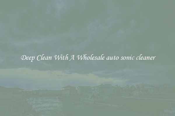 Deep Clean With A Wholesale auto sonic cleaner